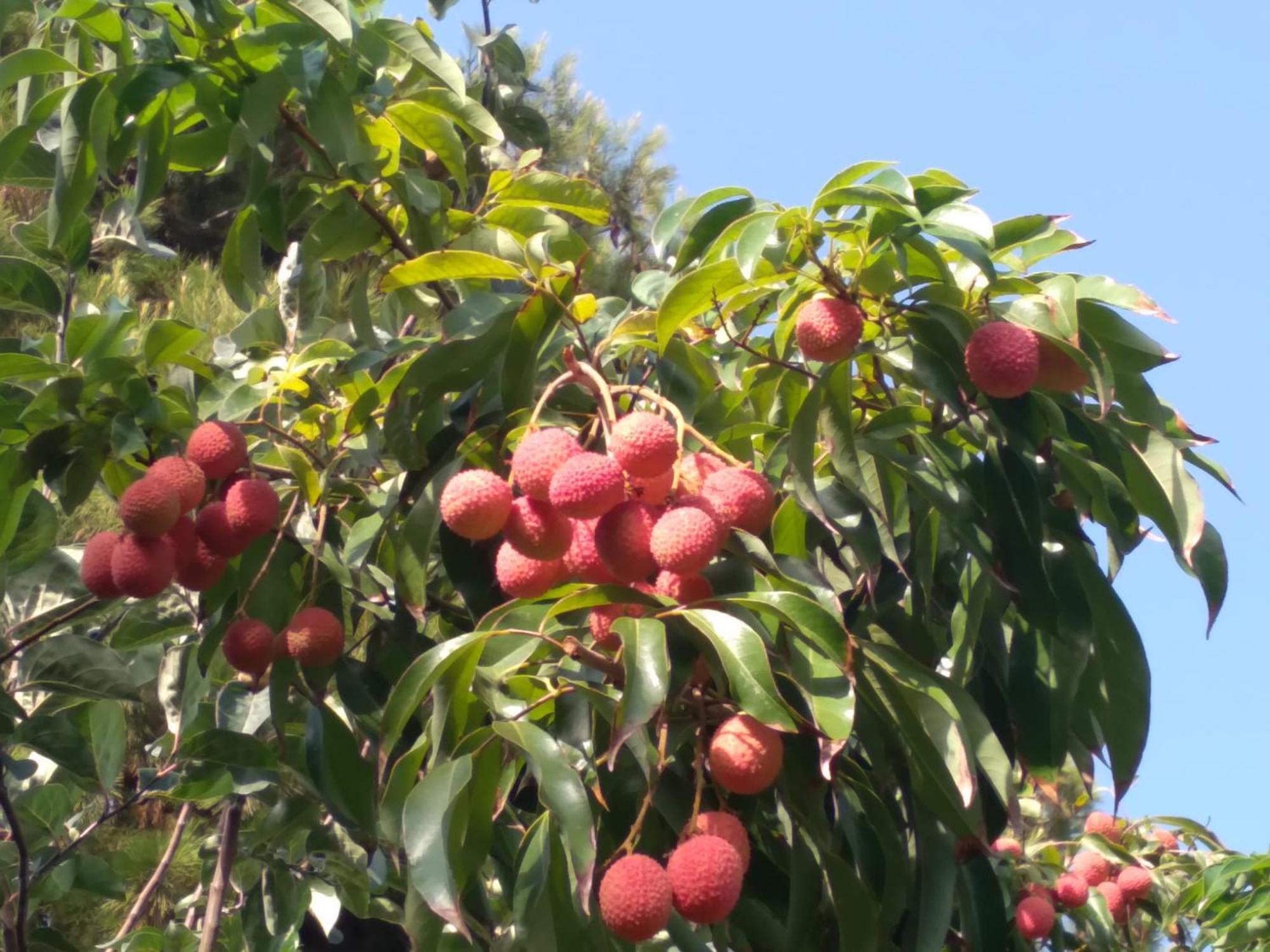 モトリル Cortijo Del Sidiヴィラ エクステリア 写真