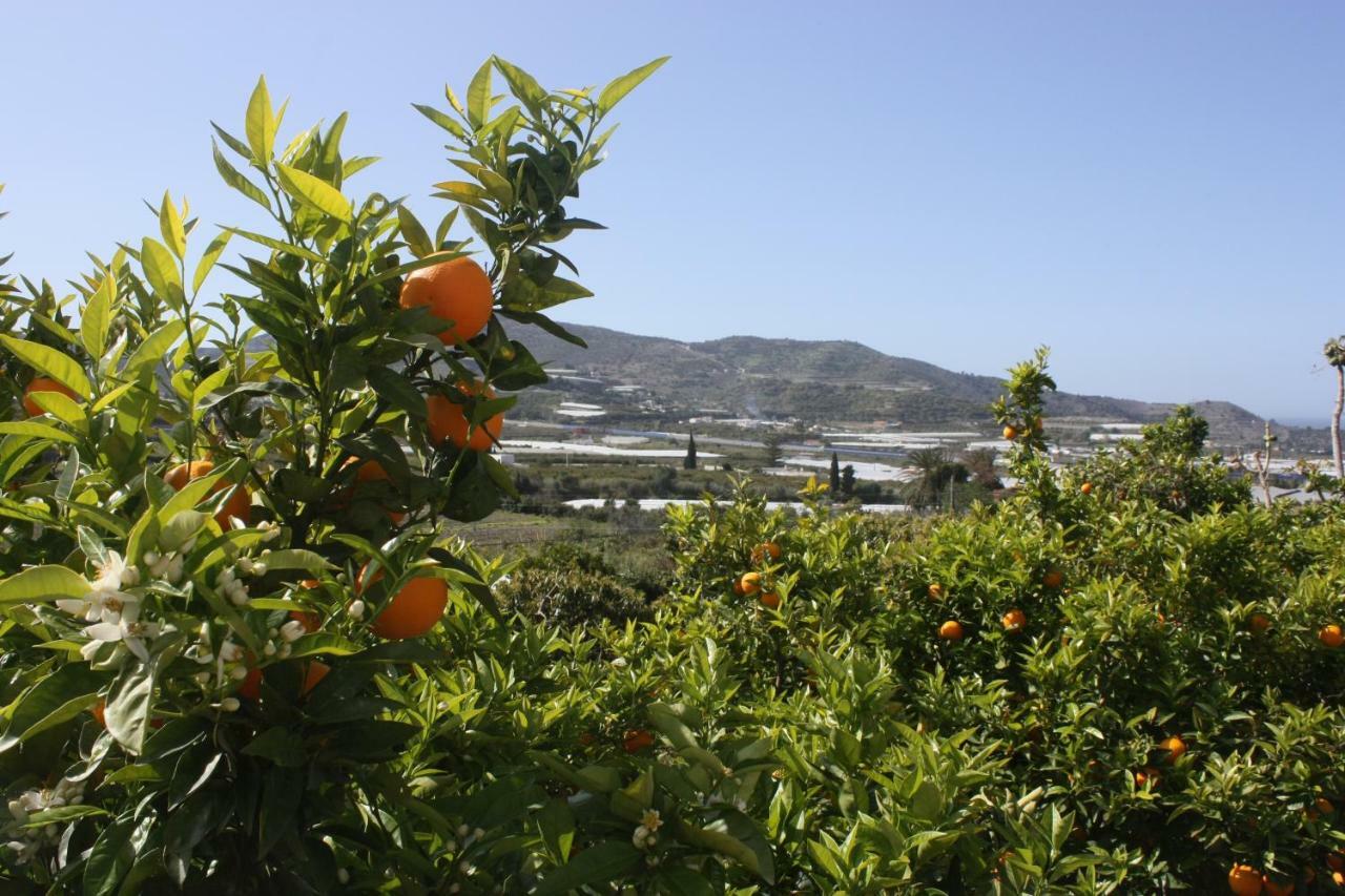 モトリル Cortijo Del Sidiヴィラ エクステリア 写真